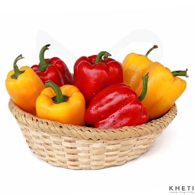 Red and Yellow Bell Pepper